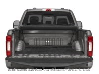 2022 Ford F-250 Platinum | 4X4 | 6.7L | Tremor | Roof | Adpt Steer Exterior Shot 4