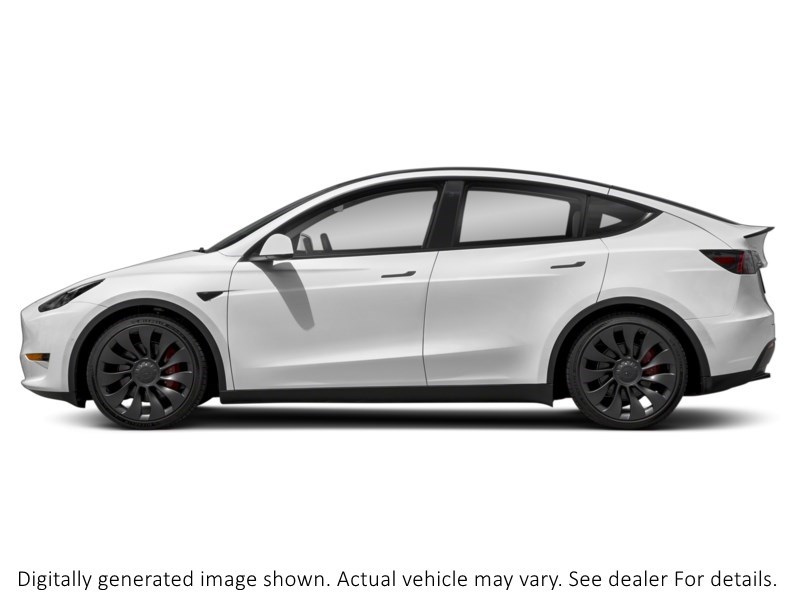 2023 Tesla Model Y RWD Exterior Shot 6