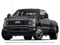 2024 Ford Super Duty F-450 Drw Platinum 4WD Crew Cab 8' Box Exterior Shot 1
