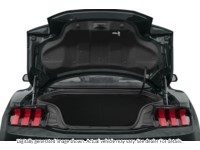 2024 Ford Mustang EcoBoost Premium Fastback Exterior Shot 4