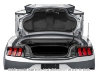 2025 FORD MUSTANG ECOBOOST CONVERTIBLE Exterior Shot 4
