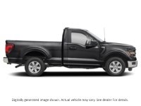 2025 FORD F-150 XL 4WD REG CAB 8' BOX Exterior Shot 10