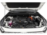 2024 Toyota Rav4 Hybrid Hybrid LE AWD Exterior Shot 3