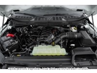 2026 Ford F-150 Lariat | 4X4 | 5.0L | 502A | Blk Pk | Roof | Bed U Exterior Shot 3