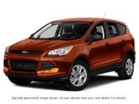 2014 Ford Escape FWD 4Dr SE Sunset  Shot 13