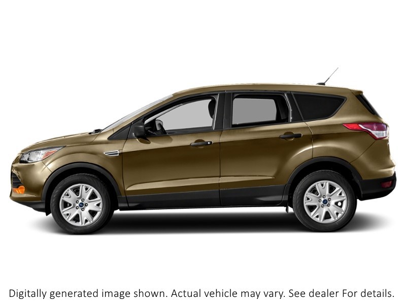 2014 Ford Escape FWD 4Dr SE Karat Gold  Shot 9