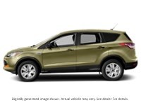 2013 Ford Escape FWD 4Dr SE Ginger Ale Metallic  Shot 23