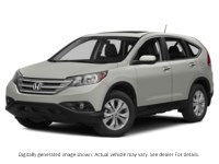 2014 Honda Cr-V AWD 5Dr Ex-L Alabaster Silver Metallic  Shot 19