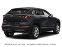 2023 Mazda Cx-30 Gs AWD Jet Black Mica  Shot 12