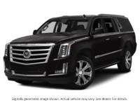 2015 Cadillac Escalade Esv 4WD 4Dr Platinum Black Raven  Shot 1