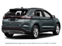 2015 Ford Edge Sel Guard Metallic  Shot 14