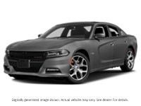 2017 Dodge Charger 4Dr Sdn R/T Daytona Edition RWD Destroyer Grey  Shot 4