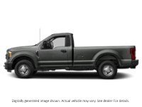 2019 Ford Super Duty F-250 Srw XL 4WD Reg Cab 8' Box Colour Shot 3