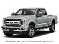 2019 Ford Super Duty F-250 Srw XLT 4WD Crew Cab 6.75' Box Silver Spruce  Shot 52