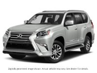 2019 Lexus Gx 460 GX 460 Auto Starfire Pearl  Shot 1