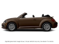 2018 Volkswagen Beetle Trendline Auto Dark Bronze Metallic w/Black Roof  Shot 15