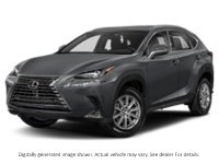 2021 Lexus Nx 300 Nx 300 AWD Nebula Grey Pearl  Shot 13