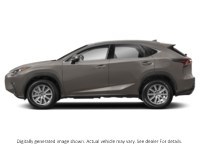 2021 Lexus Nx 300 Nx 300 AWD Atomic Silver  Shot 16