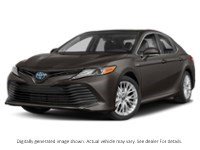 2020 Toyota Camry Hybrid Hybrid XLE Auto Pre-Dawn Grey Mica  Shot 1