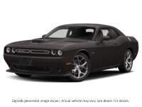 2020 Dodge Challenger R/T RWD Granite Crystal Metallic  Shot 19