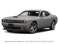 2020 Dodge Challenger R/T RWD Triple Nickel  Shot 38