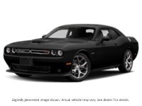 2020 Dodge Challenger R/T RWD Pitch Black  Shot 47