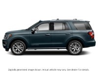 2020 Ford Expedition Platinum 4X4 Blue Metallic  Shot 16