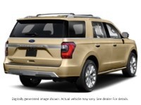 2020 Ford Expedition Platinum 4X4 Desert Gold Metallic  Shot 21