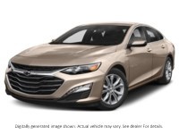 2019 Chevrolet Malibu 4Dr Sdn LT W/1Lt Sandy Ridge Metallic  Shot 19