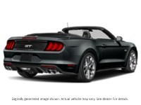 2022 Ford Mustang GT Premium Convertible Shadow Black  Shot 14