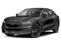 2022 Ford Mustang Mach-E California Route 1 Dark Matter Grey Metallic  Shot 4