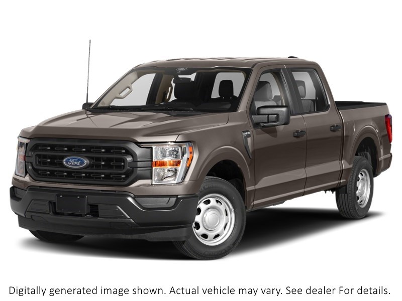 2022 Ford F-150 XLT | 4X4 | 3.5L |302A | 157 | 360 | Fx4 | 20S Stone Grey Metallic  Shot 1