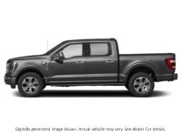 2023 Ford F-150 Platinum 4WD Supercrew 5.5' Box Agate Black Metallic  Shot 5