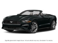 2022 Ford Mustang Ecoboost Convertible Shadow Black  Shot 31