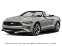 2022 Ford Mustang Ecoboost Convertible Iconic Silver Metallic  Shot 41