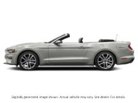 2022 Ford Mustang Ecoboost Convertible Iconic Silver Metallic  Shot 40