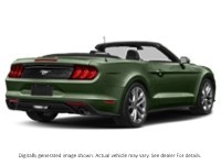 2022 Ford Mustang Ecoboost Convertible Eruption Green Metallic  Shot 26