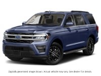 2023 Ford Expedition XLT 4X4 Infinite Blue Metallic Tinted Clearcoat  Shot 4