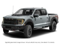 2023 Ford F-150 Raptor 4WD Supercrew 5.5' Box Avalanche  Shot 19