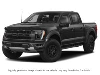 2023 Ford F-150 Raptor 4WD Supercrew 5.5' Box Agate Black Metallic  Shot 28