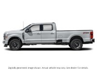 2024 Ford Super Duty F-350 Drw Platinum 4WD Crew Cab 8' Box Iconic Silver Metallic  Shot 23