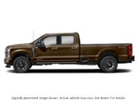 2024 Ford Super Duty F-350 Drw Platinum 4WD Crew Cab 8' Box Darkened Bronze Metallic  Shot 27