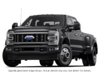 2024 Ford Super Duty F-450 Drw Platinum 4WD Crew Cab 8' Box Agate Black Metallic  Shot 2