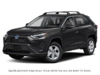2023 Toyota Rav4 Hybrid Hybrid XLE AWD Colour Shot 1