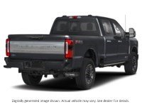 2024 Ford F-250 Platinum 4WD Crew Cab 6.75' Box Agate Black Metallic  Shot 6