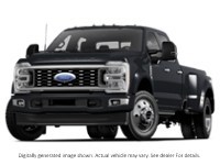 2025 Ford Super Duty F-450 Drw Platinum 4WD Crew Cab 8' Box Agate Black Metallic  Shot 1