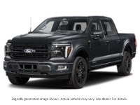2026 Ford F-150 Platinum 4WD Supercrew 5.5' Box Agate Black Metallic  Shot 4