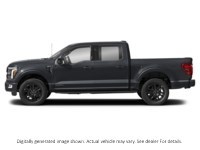 2026 Ford F-150 Platinum 4WD Supercrew 5.5' Box Agate Black Metallic  Shot 3